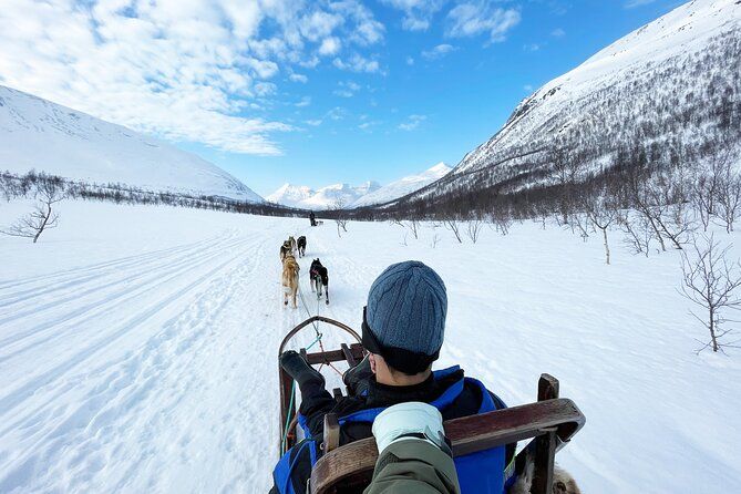 Dog Sledding: A Self-Drive Arctic Experience from Tromsø - Why This Husky Sled Day Works So Well for Visitors