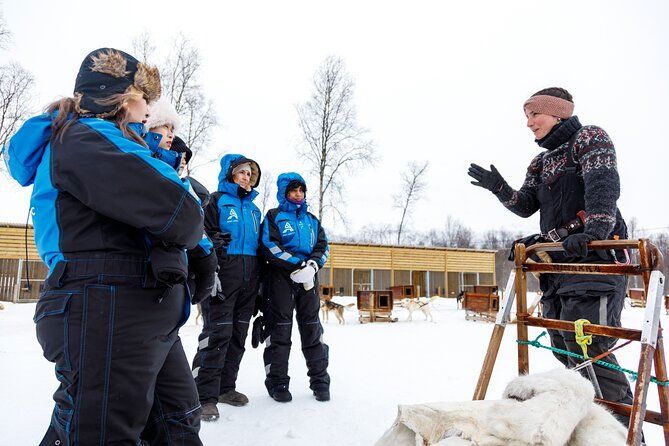 Dog Sledding: A Self-Drive Arctic Experience from Tromsø - The Huskies and the Safety Briefing You Actually Need