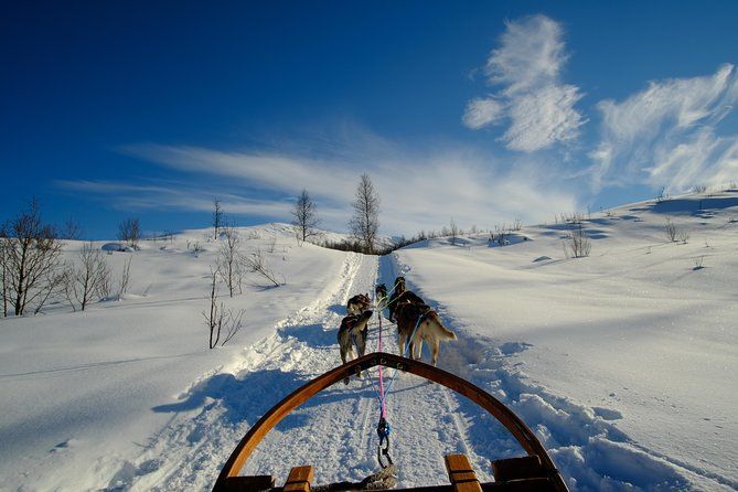 Dog Sledding: A Self-Drive Arctic Experience from Tromsø - Gear Up: Thermal suits and cold-weather comfort that helps