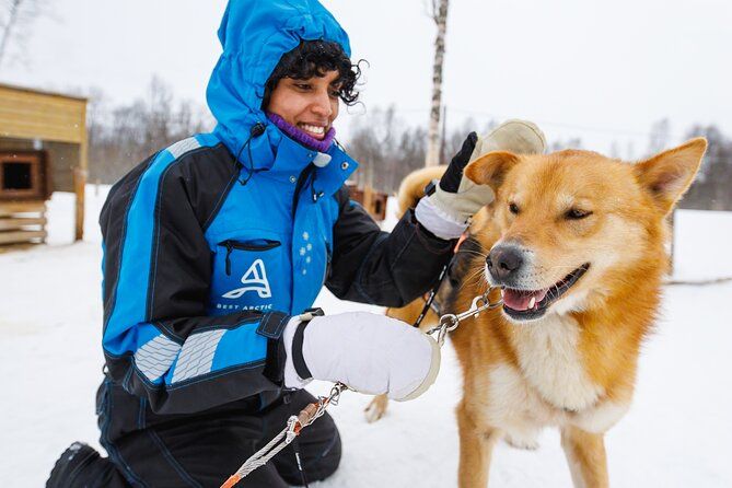 Dog Sledding: A Self-Drive Arctic Experience from Tromsø - The Husky Ride Itself Near Breivikeidet