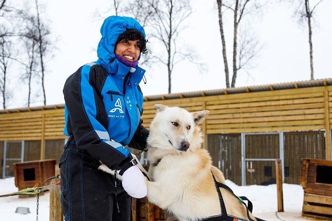 Dog Sledding: A Self-Drive Arctic Experience from Tromsø - Shared Groups and Capacity: what max 30 travelers means for your day