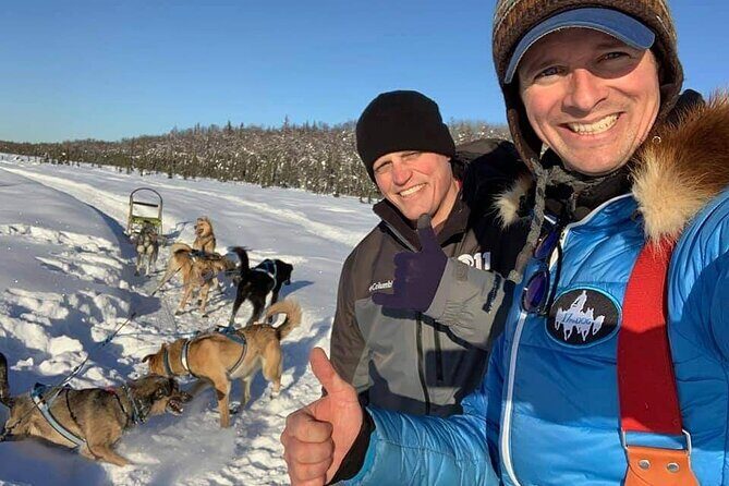 Dog Sledding Adventure in Willow, Alaska - The Sum Up: Is the Dog Sledding Adventure Worth It?
