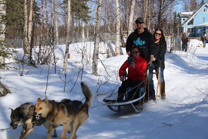 Dog Sledding Adventure in Willow, Alaska - FAQ