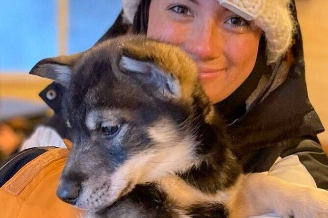 Dog Sledding and Animal Encounters Tour from Anchorage - Key Points