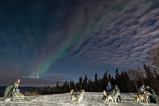 Dog Sledding and Northern Lights Combo Night - A Closer Look at the Dog Sledding and Northern Lights Combo Night
