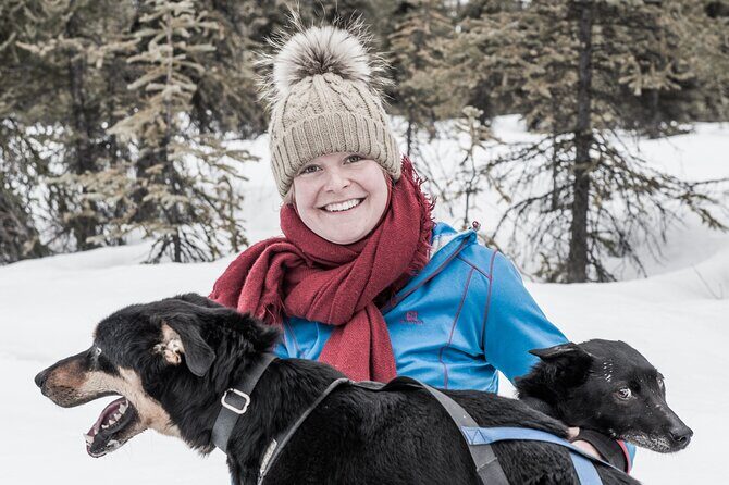 Dog Sledding - Subarctic Wilderness Tour - The Experience of the Ride Itself
