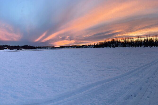 Dog Sledding with Alaskan Huskies - Who Is This Tour Best For?