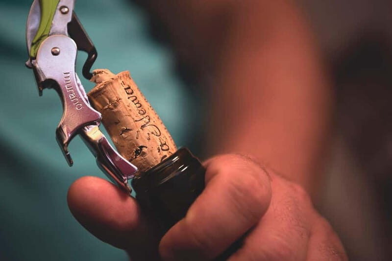 Dogliani: Tasting of 7 Wines in the Heart of the Langhe - Final Thoughts: Is This Experience Right for You?