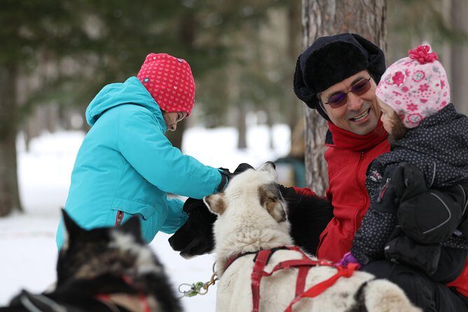 Dogsled Adventure in Mont-Tremblant - Handling the Logistics and the Weather