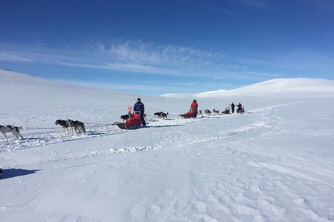 Dogsledding in the Heart of Alaska - FAQs