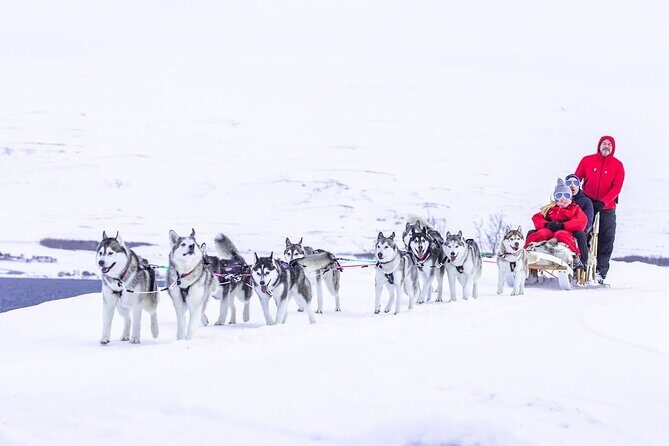 Dogsledding, near Akureyri - Final Thoughts