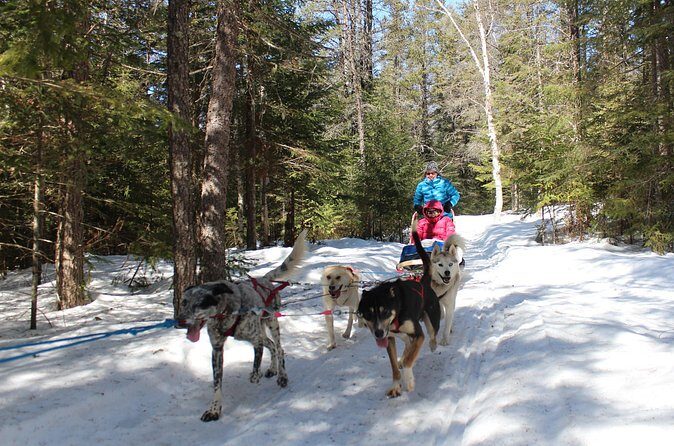 Dogsledding Nordic Adventure in Mont Tremblant - FAQ