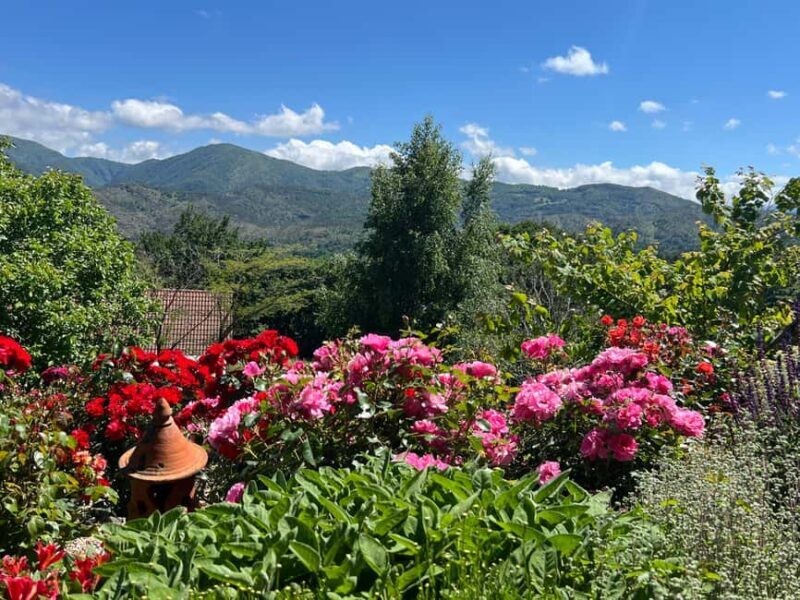 Dolci Mani, Dolci Marmellate in Valle Gargassa in Rossiglione (GE) - Introduction