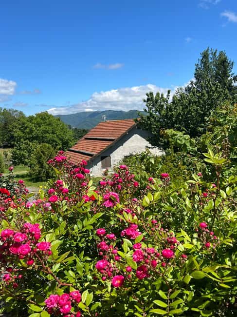 Dolci Mani, Dolci Marmellate in Valle Gargassa in Rossiglione (GE) - Deep Dive into the Experience