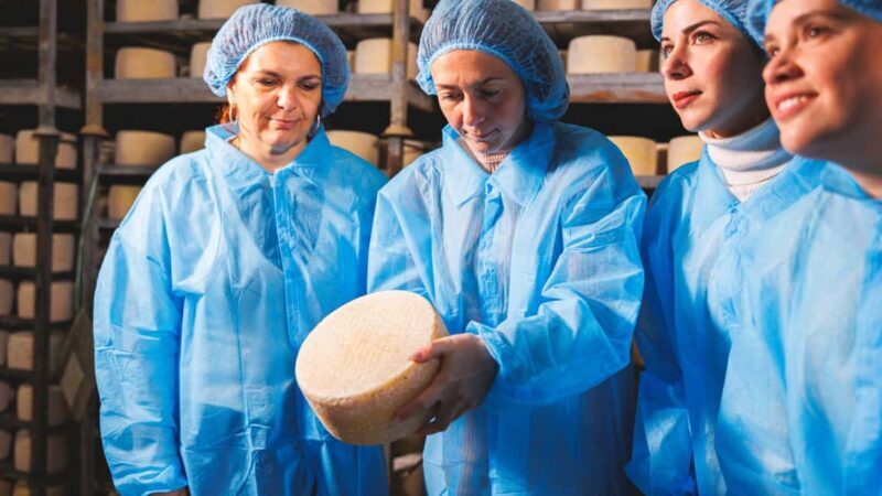 Dolianova: visit and workshop in a cheese factory - Final Thoughts
