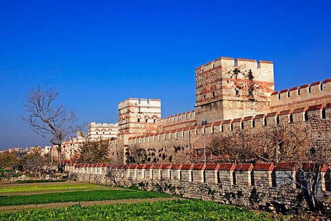 Dolmabahçe Palace with Bosphorus Cruise - Who Will Love This Tour?
