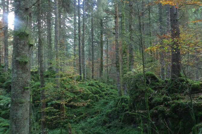 Dolomites Hiking tour - Frequently Asked Questions