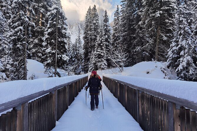 Dolomites of Bolzano Winter Hiking & Sledding Experience - Key Points