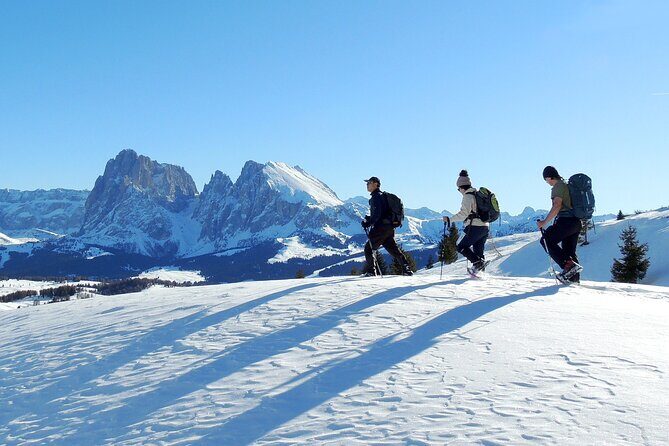 Dolomites of Bolzano Winter Hiking & Sledding Experience - Final Thoughts