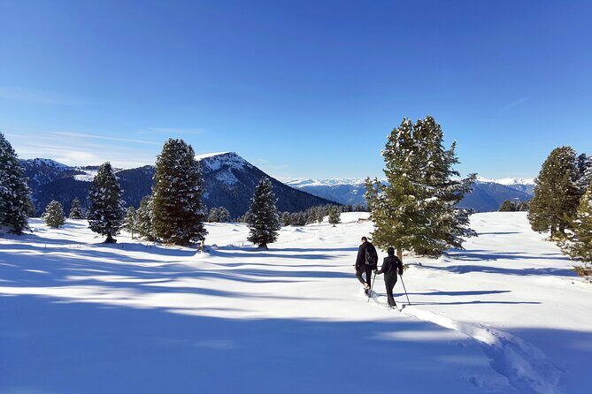 Dolomites of Cortina Winter Hiking & Sledding Experience - Who Should Consider This Tour?