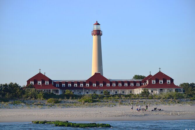 Dolphin and Bird Watching Ecotour Cruise - What to Expect from the Cape May Dolphin and Bird Watching Ecotour