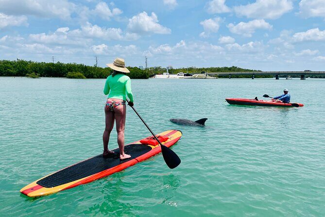 Dolphin and Manatee Adventure Tour of Fort Myers - Practical Details: What You Need to Know