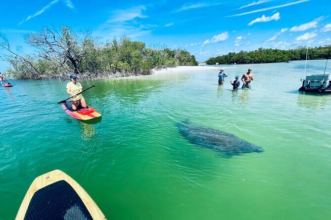 Dolphin and Manatee Adventure Tour of Fort Myers - Final Thoughts: Who Will Love This Tour?
