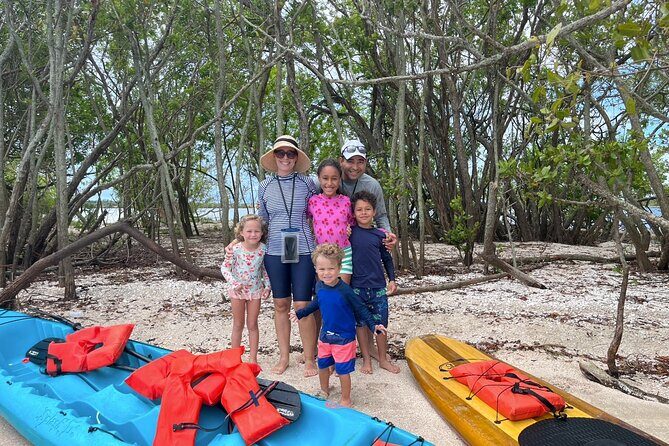 Dolphin and Manatee Adventure Tour of Merritt Island - An In-Depth Look at the Merritt Island Dolphin and Manatee Tour