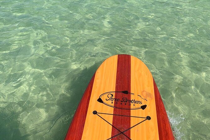 Dolphin and Manatee Adventure Tour of Naples with Florida History - Authentic Reviews: What Past Guests Say