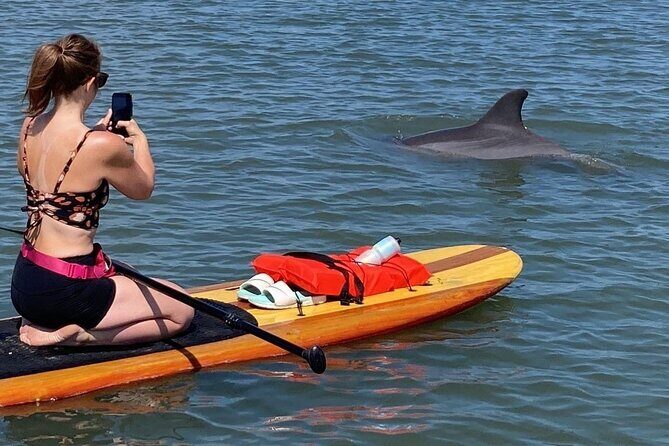 Dolphin and Manatee Adventure tour of Osprey with Florida History - An Honest Look at the Dolphin and Manatee Adventure Tour of Osprey