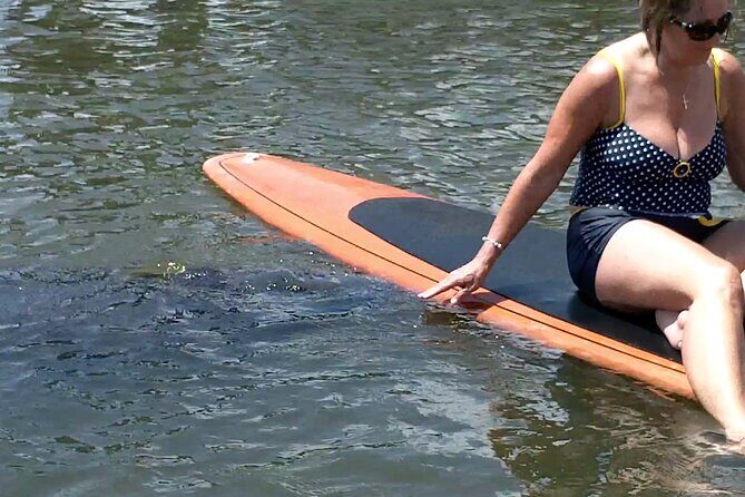 Dolphin and Manatee Adventure tour of Osprey with Florida History - What to Expect from the Tour