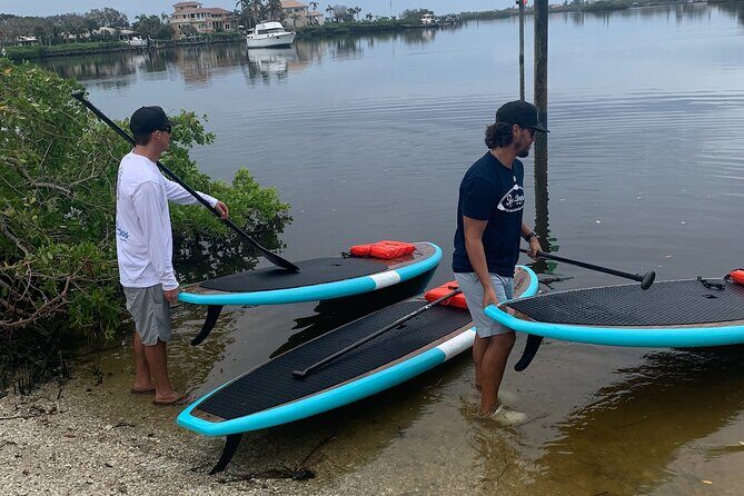 Dolphin and Manatee Adventure Tour of Sarasota with Olde Florida History! - The Experience’s Pros and Cons