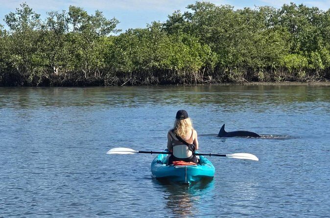 Dolphin and Manatee Adventure Tour of Sarasota with Olde Florida History! - Is This Tour Worth It?