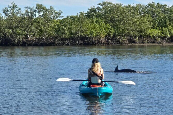 Dolphin and Manatee Adventure Tour of Sarasota with Olde Florida History! - Final Thoughts