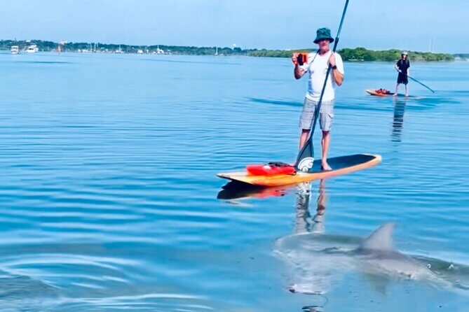 Dolphin and Manatee Kayak and SUP Adventure Tour of Cocoa Beach - Practical Tips for Your Trip