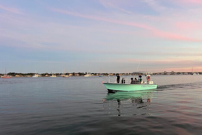 Dolphin and Nature Boat Excursion - An In-Depth Look at the Dolphin and Nature Boat Excursion