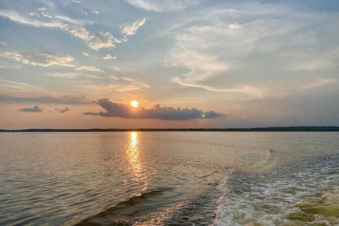 Dolphin and Nature Sunset Cruise from Orange Beach - FAQs