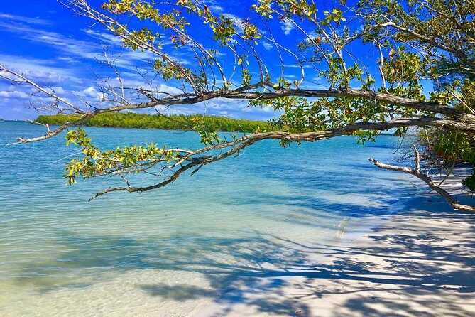 Dolphin and Shelling Cruise for up to 12 people - FAQ