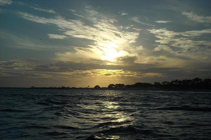 Dolphin and Snorkeling Activity in Panama City Florida - Final Thoughts