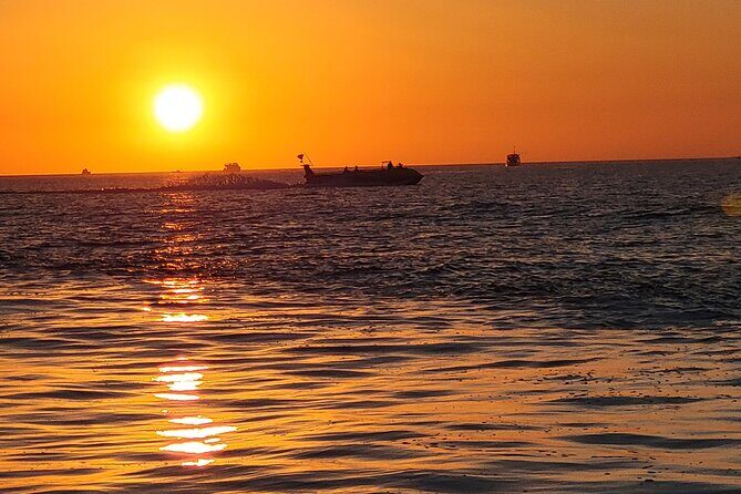 Dolphin and Sunset tour aboard the Hydro Rocket - Who Is This Tour Best For?