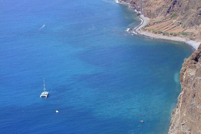 Dolphin and Whale Watching Catamaran Cruise from Funchal - Final Thoughts