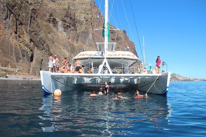 Dolphin and Whale Watching Catamaran Cruise from Funchal - Frequently Asked Questions