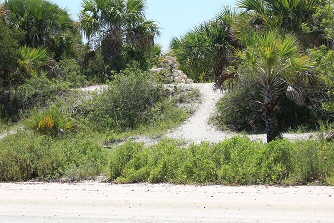 Dolphin and Wildlife Tour at Indian River Shores - What to Expect from the Indian River Shores Wildlife Kayak Tour