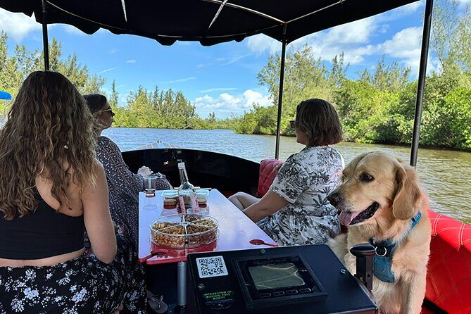 Dolphin Boat Tour in Vero Beach - What to Expect from the Dolphin Boat Tour in Vero Beach