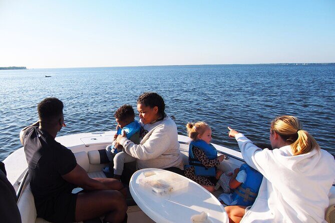 Dolphin cruise in Santa Rosa Beach - What About Price and Value?