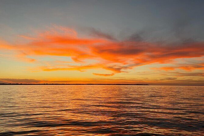 Dolphin cruise in Santa Rosa Beach - What Do the Reviews Say?