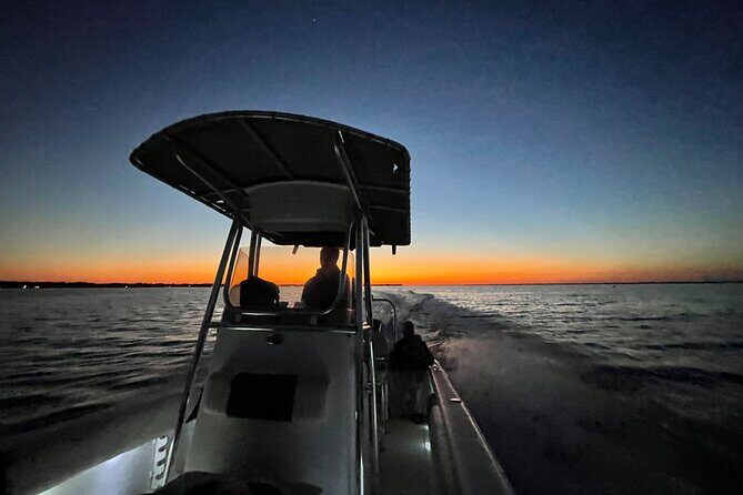 Dolphin cruise in Santa Rosa Beach - Final Thoughts: Who Is This Tour Best For?