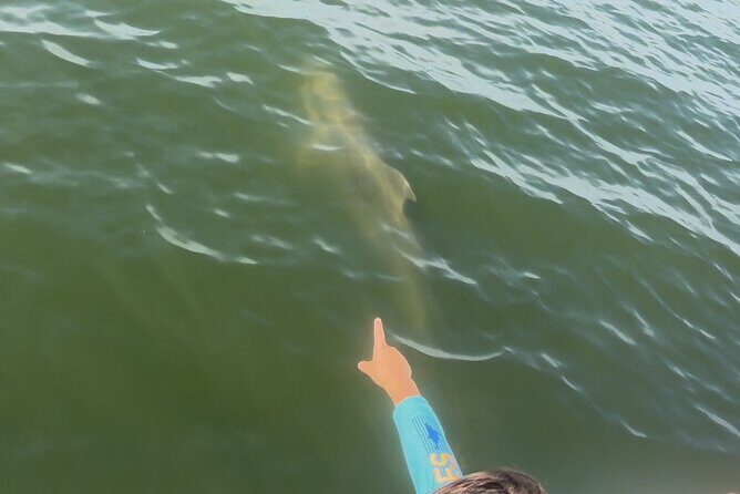 Dolphin cruise in Santa Rosa Beach - FAQ