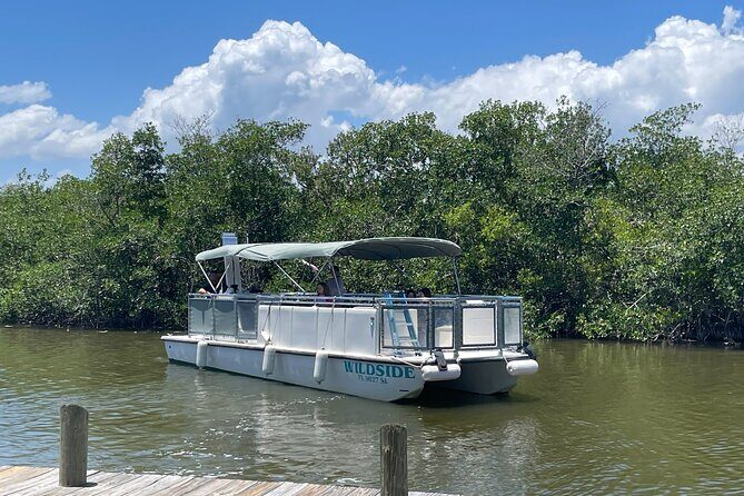 Dolphin Eco Cruise Nature Adventure in Cocoa Beach - Introduction
