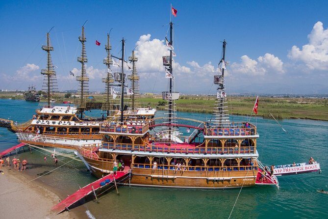 Dolphin Island Boat Tour - The Experience in Detail